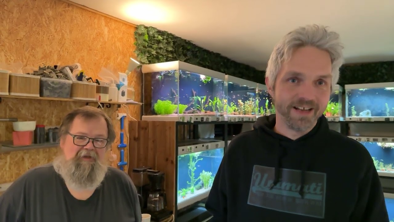 Fredagsfilm - Planter i sand og Akvastabil Move med RockZolid!