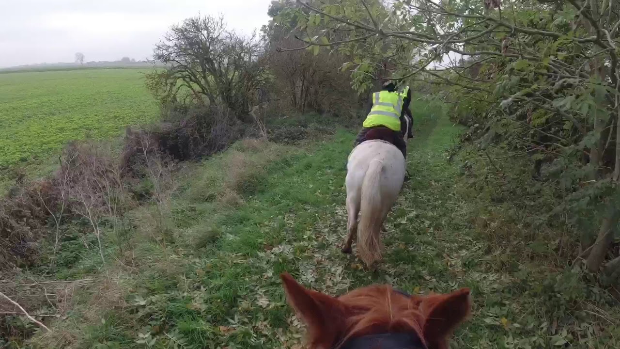9 miles, 1 fall, many naps on a lovely Sunday hack