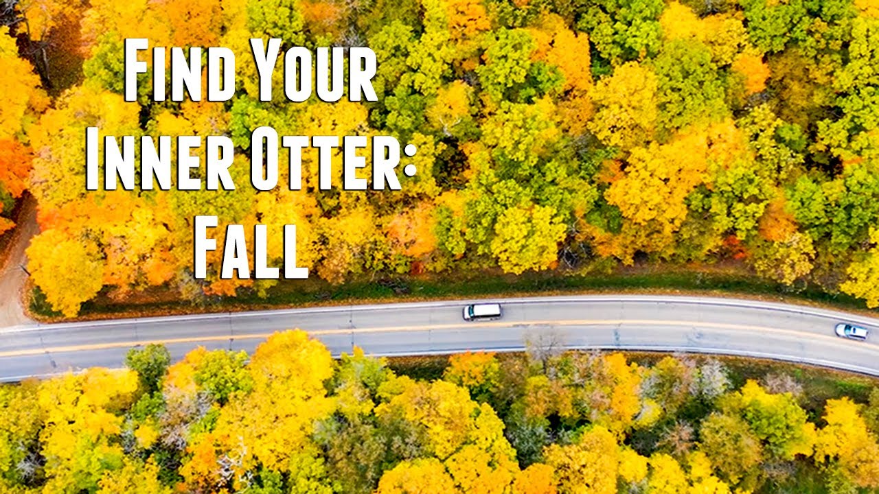 Find Your Inner Otter: Fall