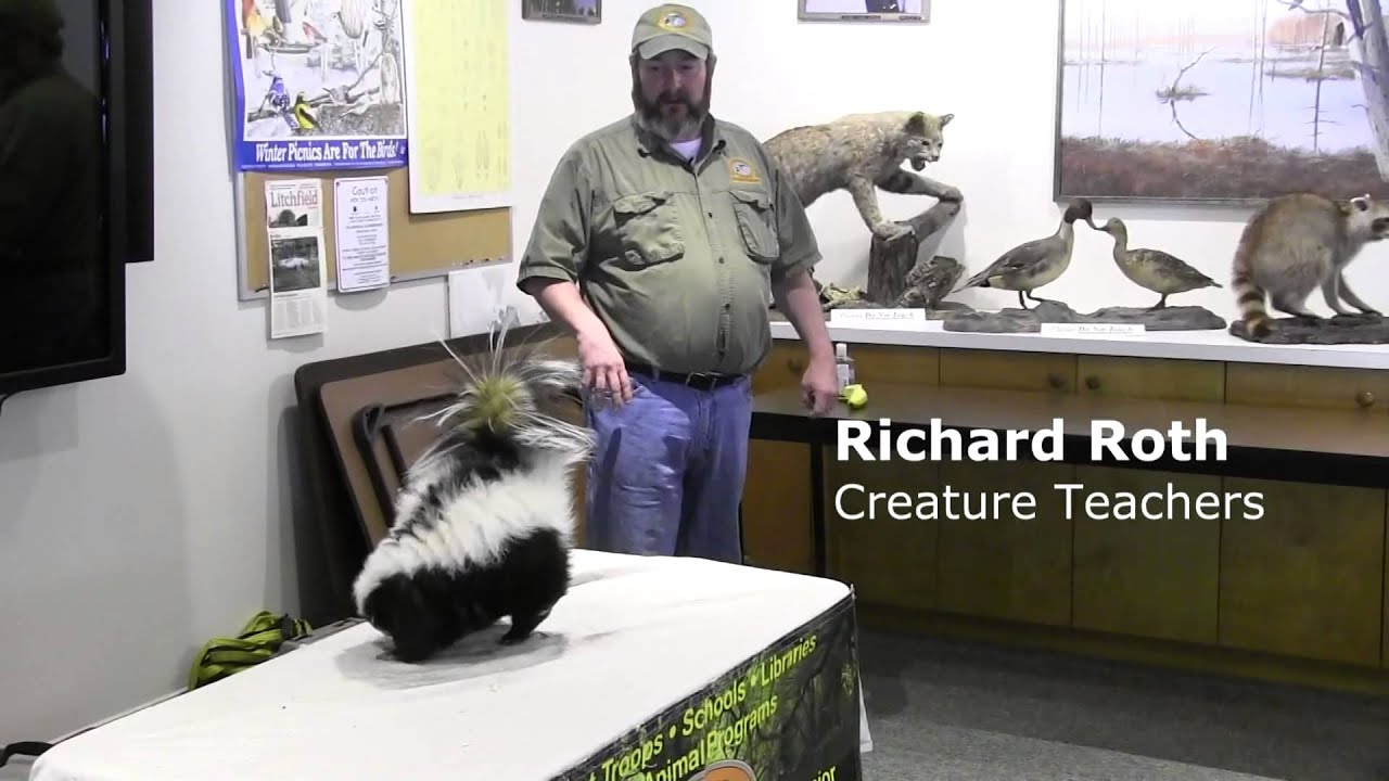 Skunk of the Creature Teachers