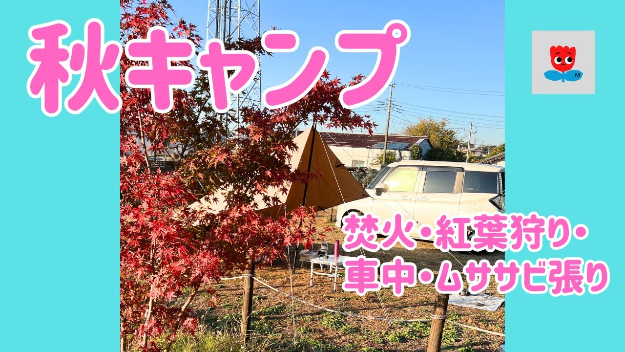 紅葉ゆれる秋キャンプ／ムササビ張り・焚火・車中でゆったり過ごす
