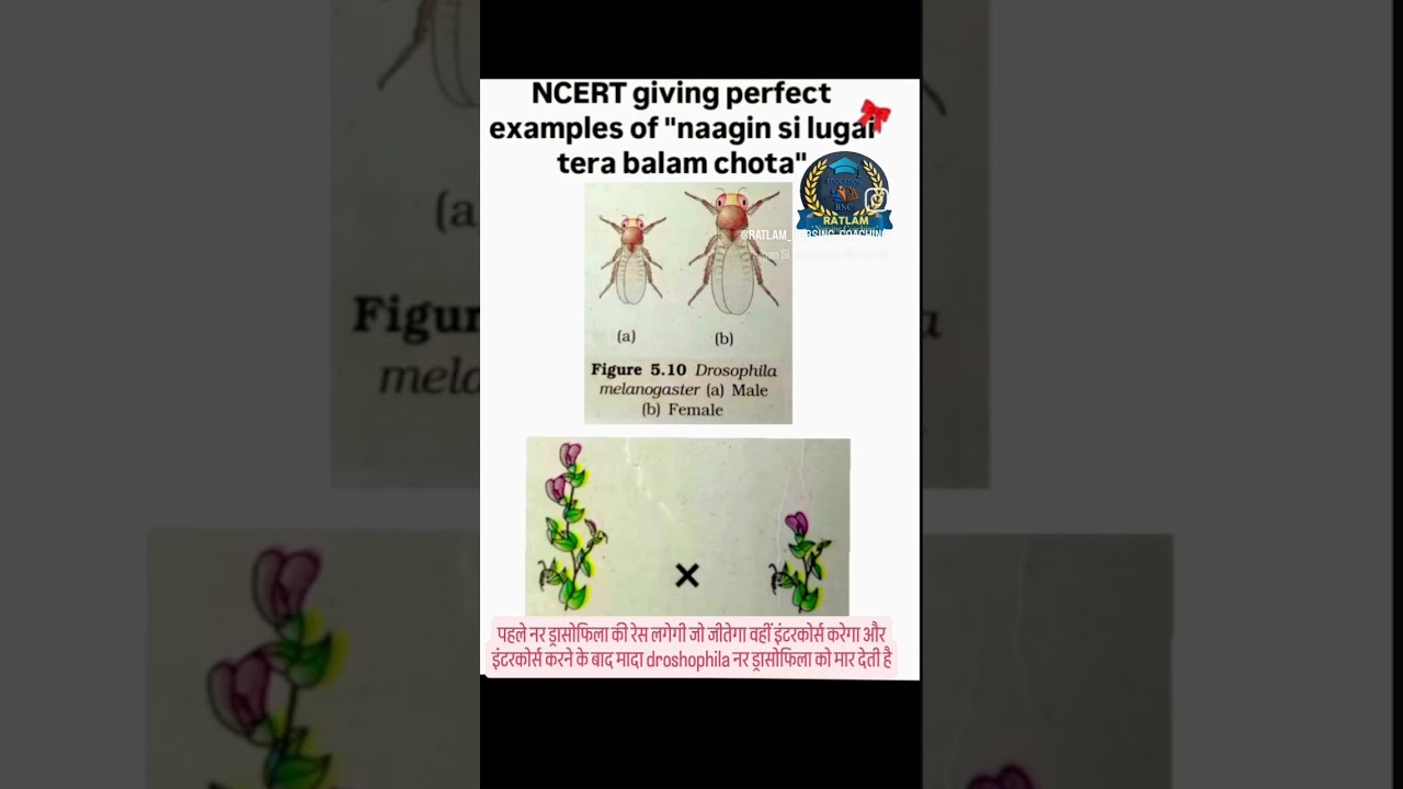 Drosophila. best example easiest way to teach biology #pnst #neetbiology #pvft #pw #allen #aiims