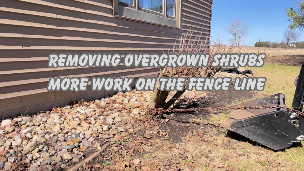 Removing Overgrown Shrubs and More Fence Line Work