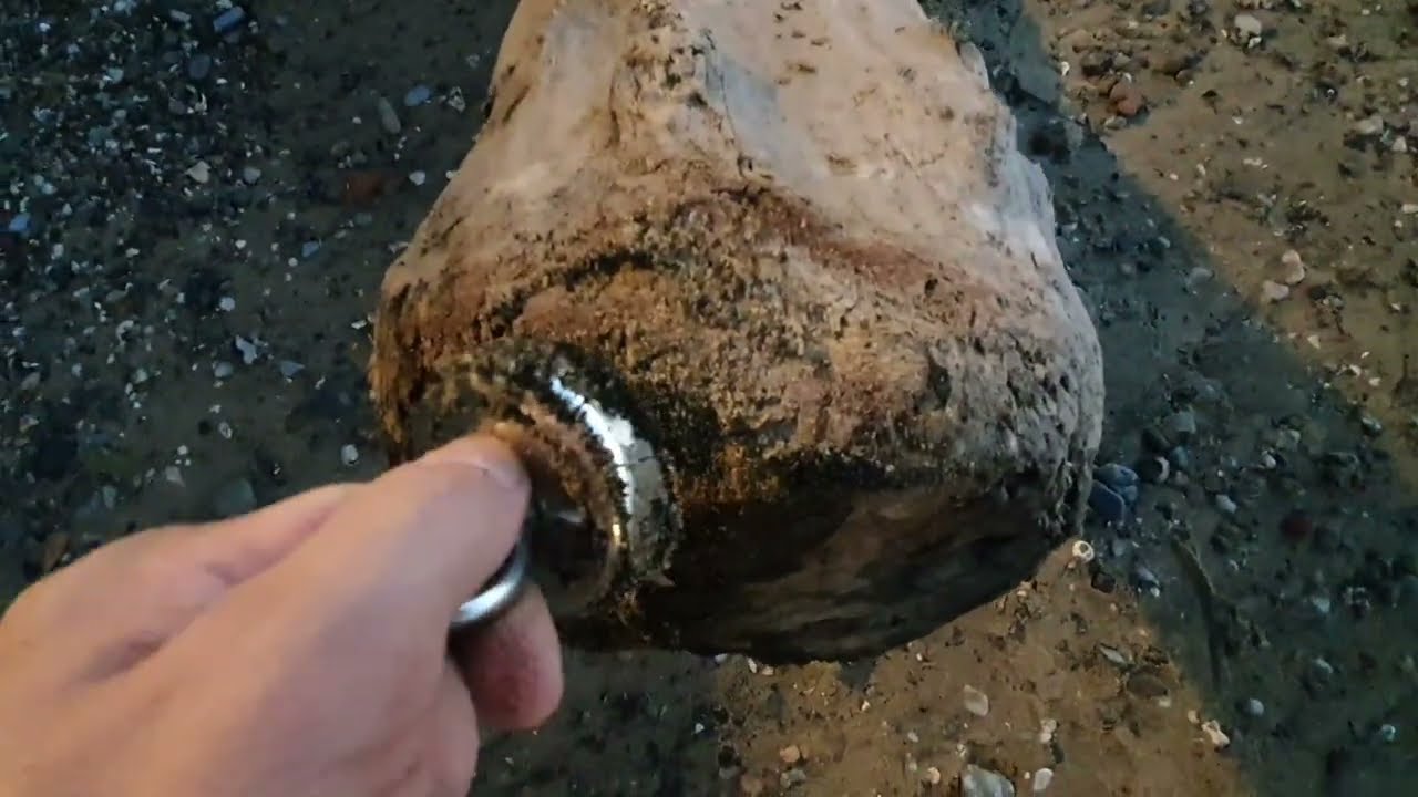 Z MAGNESEM NA BRZEG TAMIZY. 