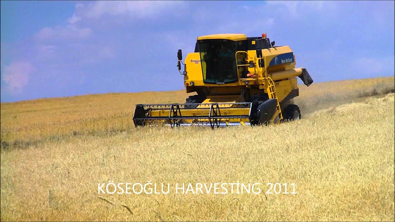 TC56 - BARLEY HARVEST (TÜRKİYE)