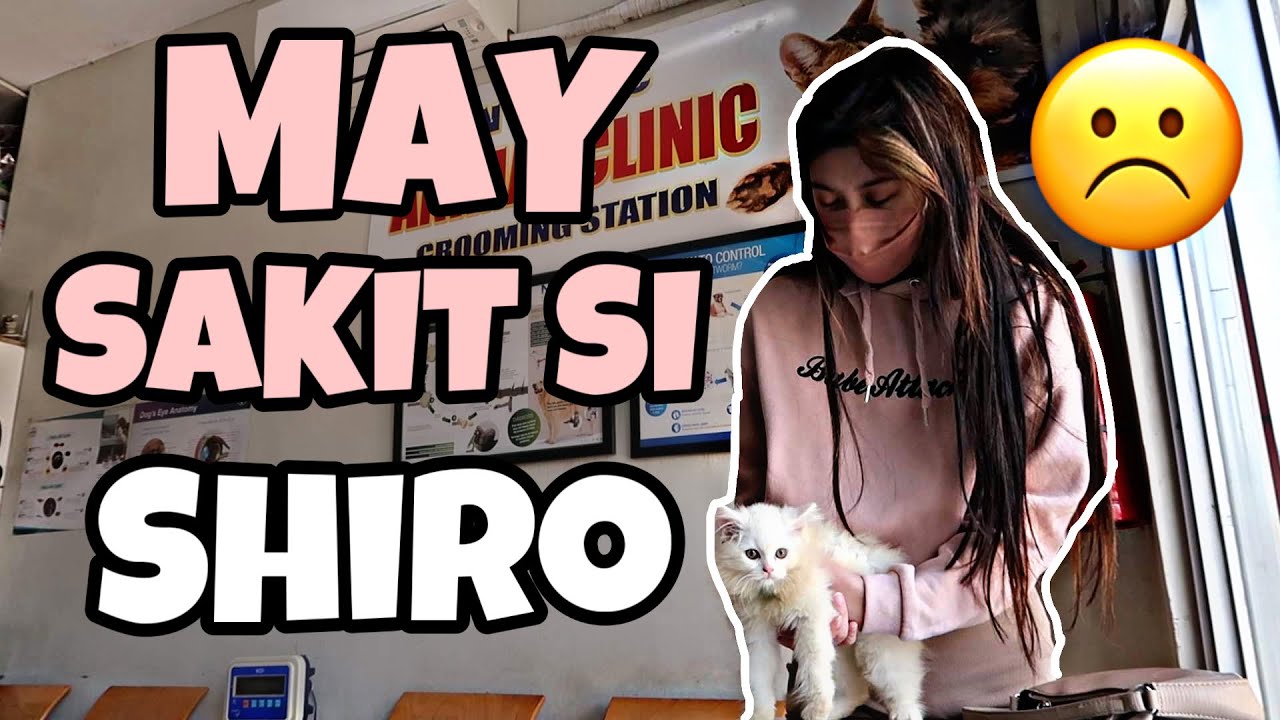 MAY SAKIT SI SHIRO