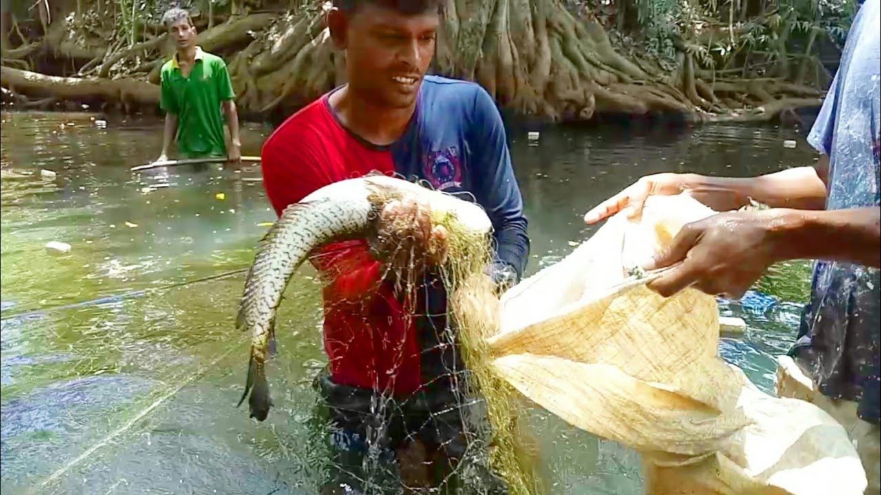 woow !!! 🇱🇰 werry good fish catching video | big thilapi and lula fishing | net fishing video