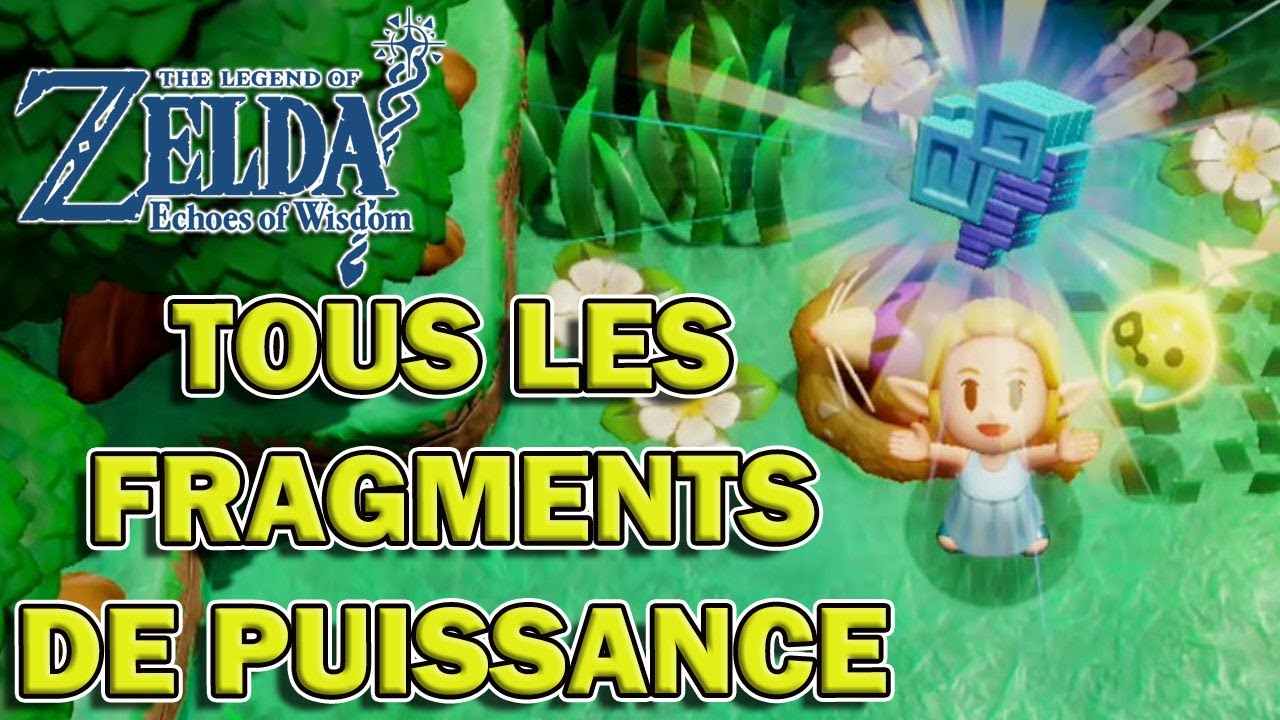 TOUS LES FRAGMENT DE PUISSANCE | The Legend of Zelda : Echoes of Wisdom