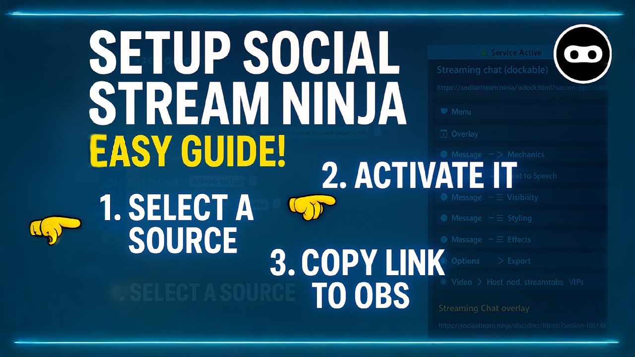 How to Set Up Social Stream Ninja (Standalone App) | Full Step-by-Step Guide