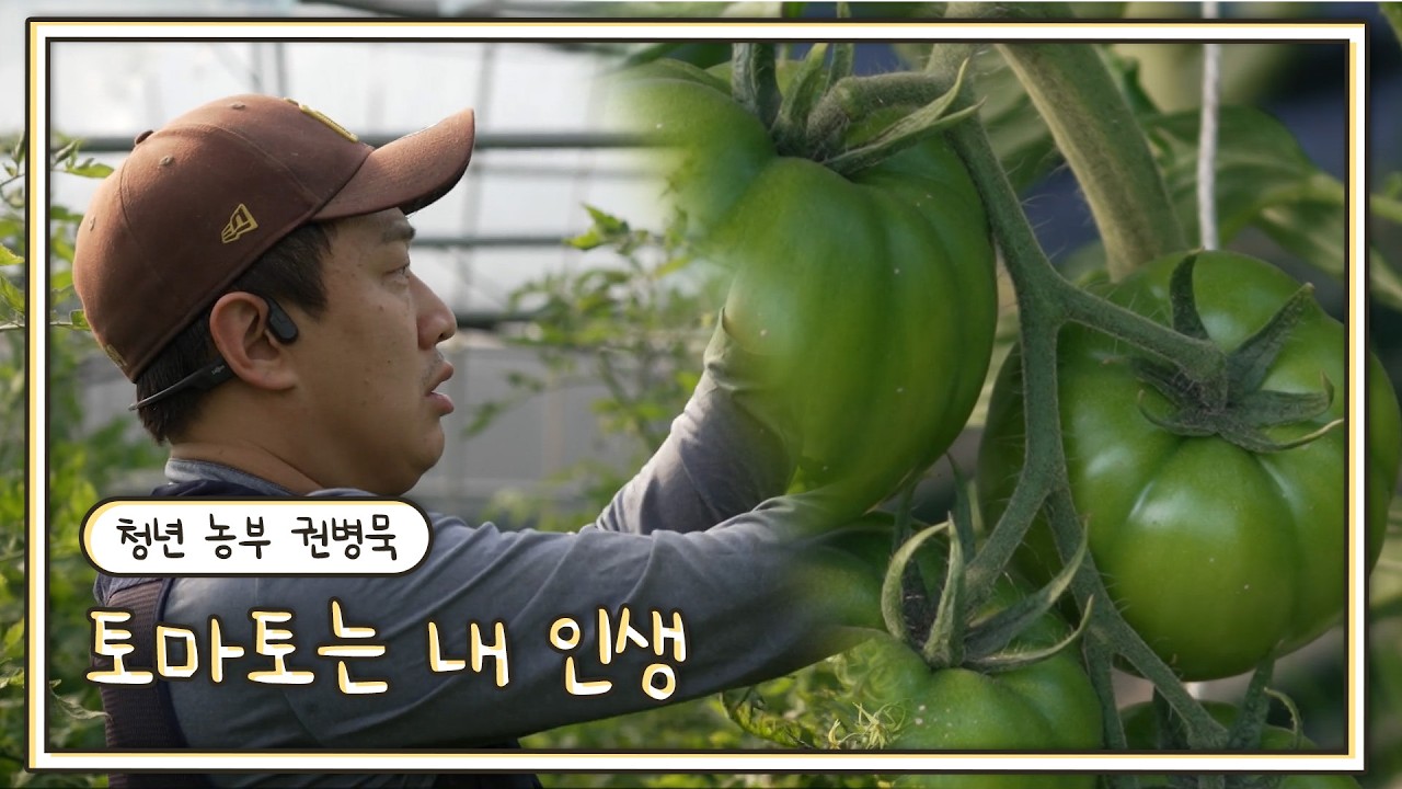 토마토는 내 인생 – 청년 농부 권병묵ㅣ영남 라디오스타 (KBS 2026.02.25.수 방송)