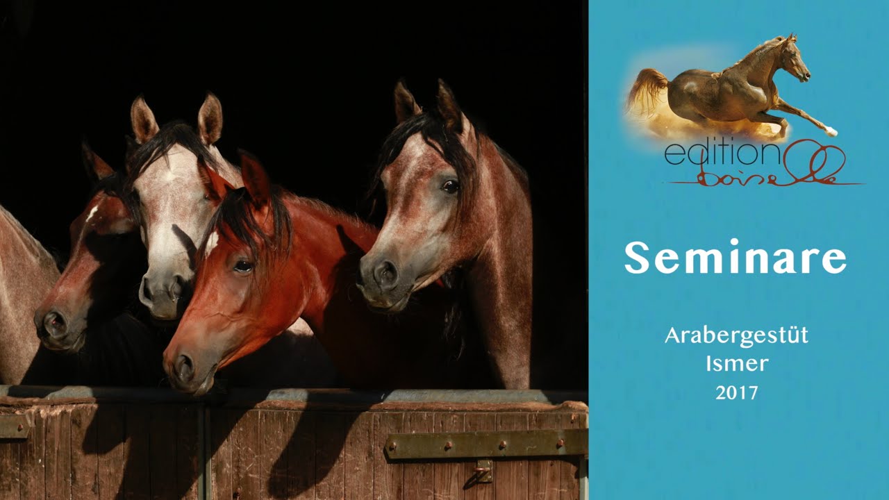 Arabergestüt Ismer 2017
