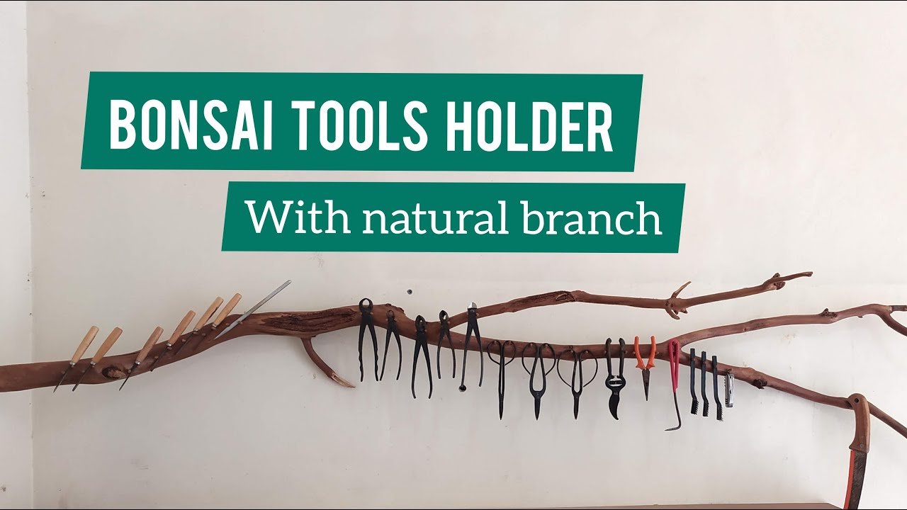 Bonsai tool holder from natural branch