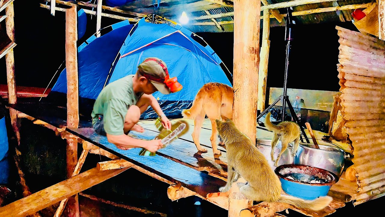 Camping overnight in heavy rain menajur ikan di sungai hutan kalimantan