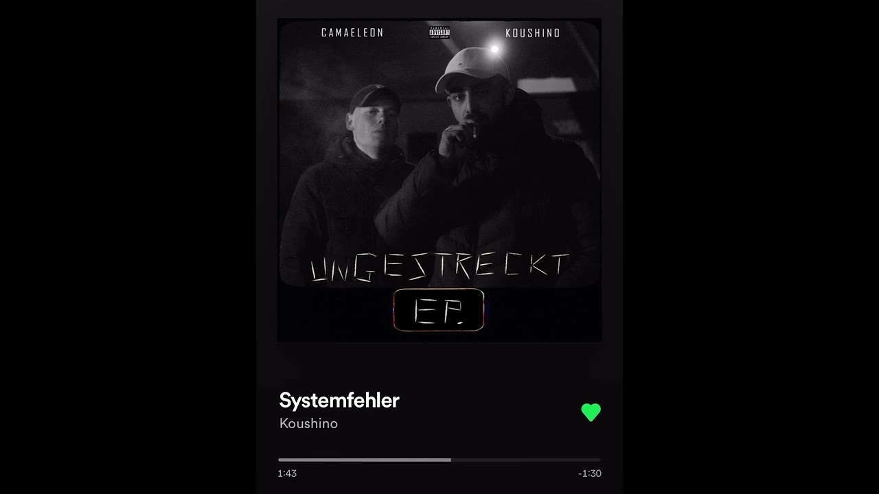 Systemfehler -Koushino