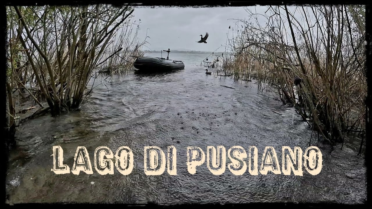 Karpfenangeln am Lago di Pusiano in Italien April 2024