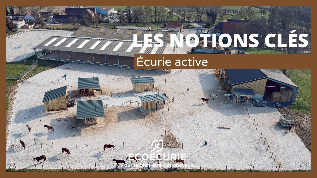 Écurie Active : les notions clés