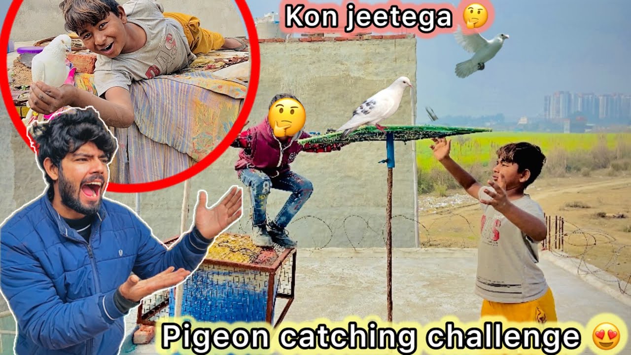 1 min main Pakdo Kabutar Or Lejao 😍 || Subscriber try to win🤑 pigeon 🕊️