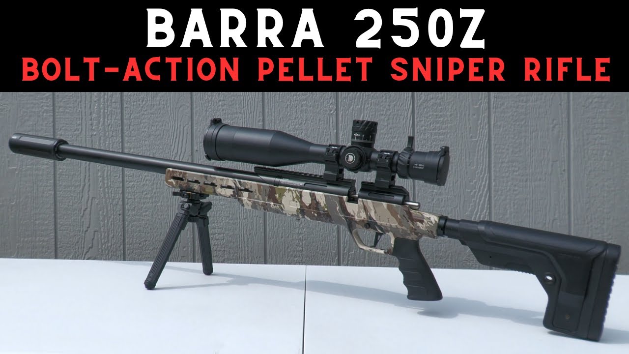 Веселее, чем длинная винтовка 22-го калибра? — Barra 250z (винтовка мечты любителя охоты на задне...