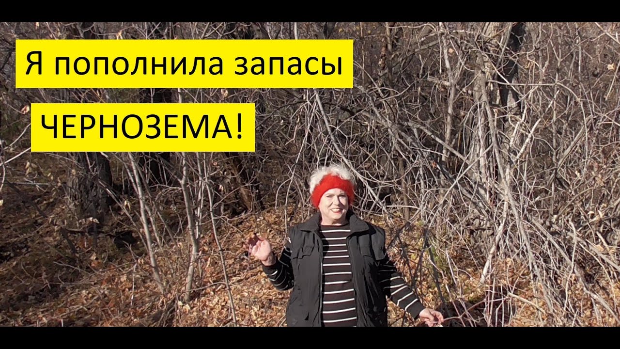 Чудо - земля для огорода лежит у нас под ногами!