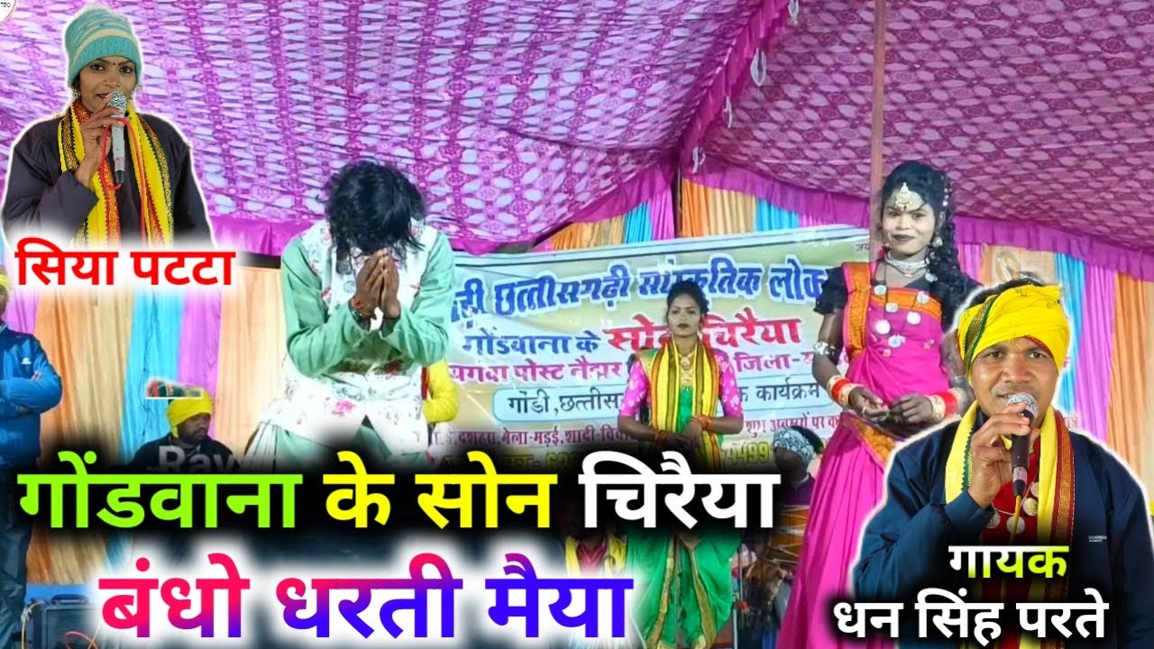 Gondwan ke Son Chireiya ! Dhan Singh parte | गोंडवाना के सोन चिरैया ! Siya Patta #ravanpatta750 