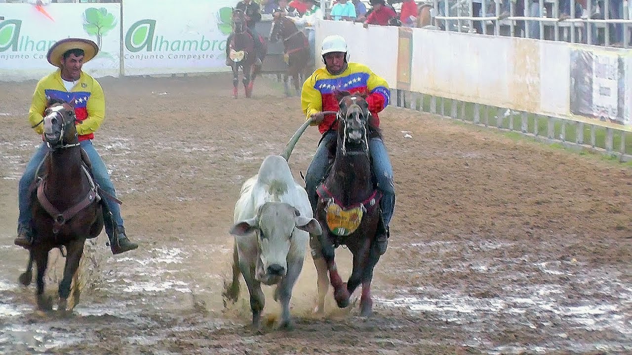 COPA AMERICA DE COLEO 2014