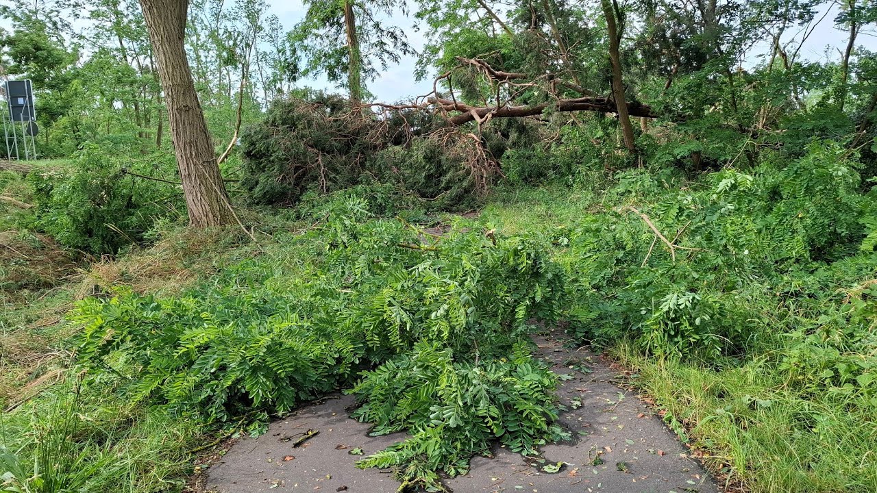 Stendal Sturmschäden nach heftigem Unwetter  (Umgebung)