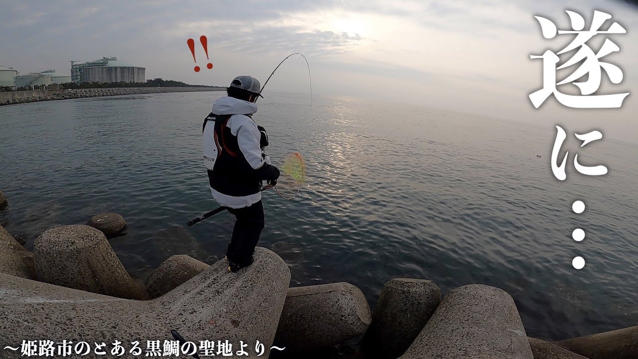 【神回】遂に姫路で大型チヌ（黒鯛）と対峙する…！（フカセ釣り）
