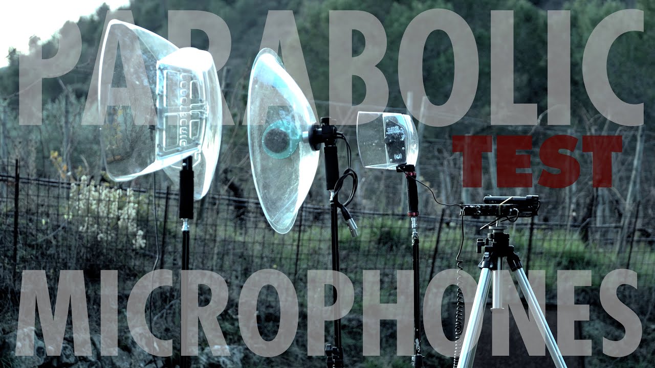 PARABOLIC MICROPHONES TEST