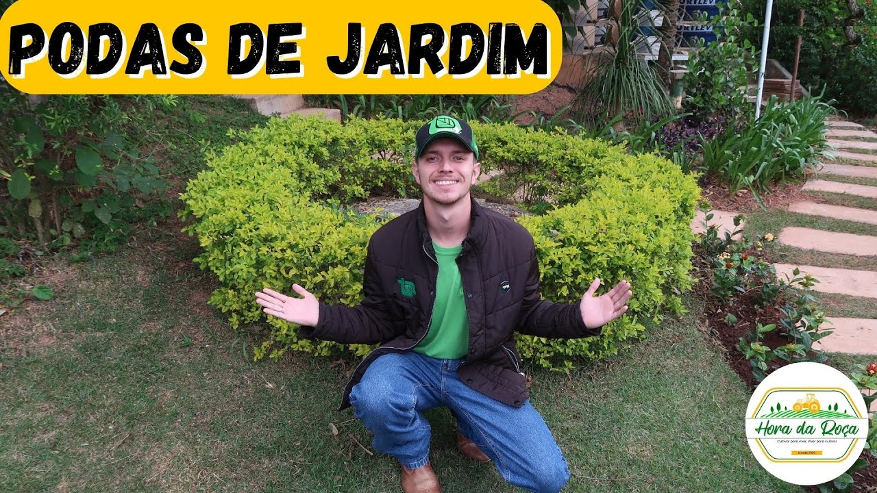 Como fazer as podas no jardim da maneira correta (PODA DO PINGO DE OURO)