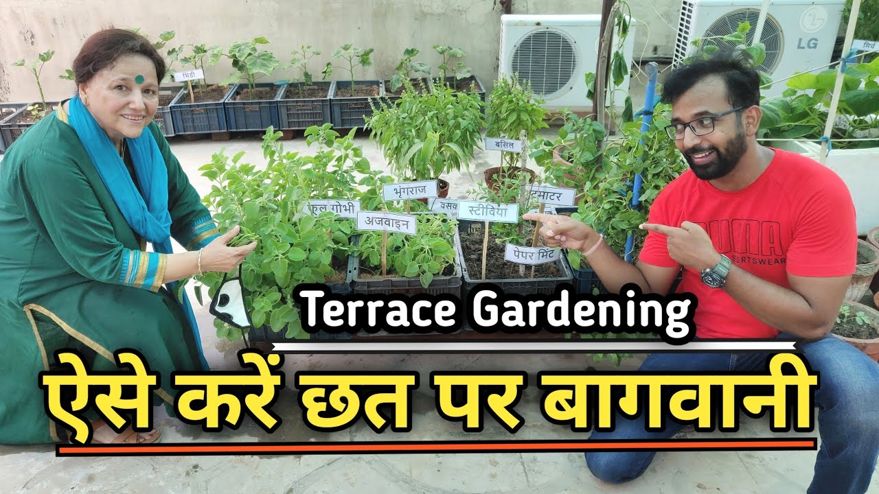 छत पर बागवानी | Roof Gardening Terrace Gardening करना चाहते है तो पूरा Video जरूर देखें