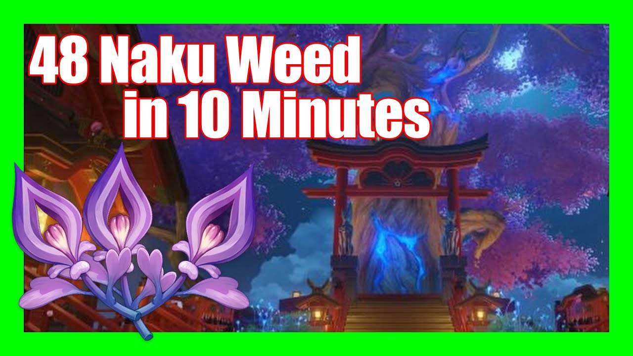 48 Naku Weed in 10 Minutes - Genshin Impact | Material Farm