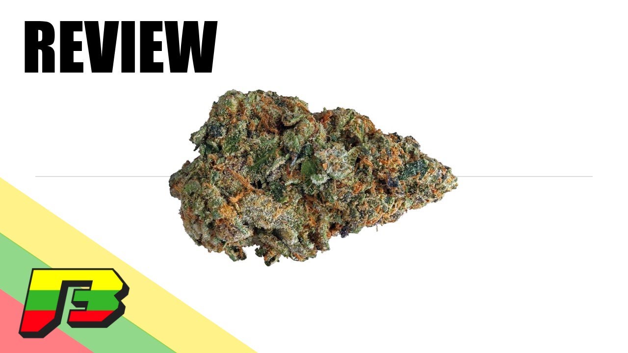 Gelato Weed Review | BammerTV