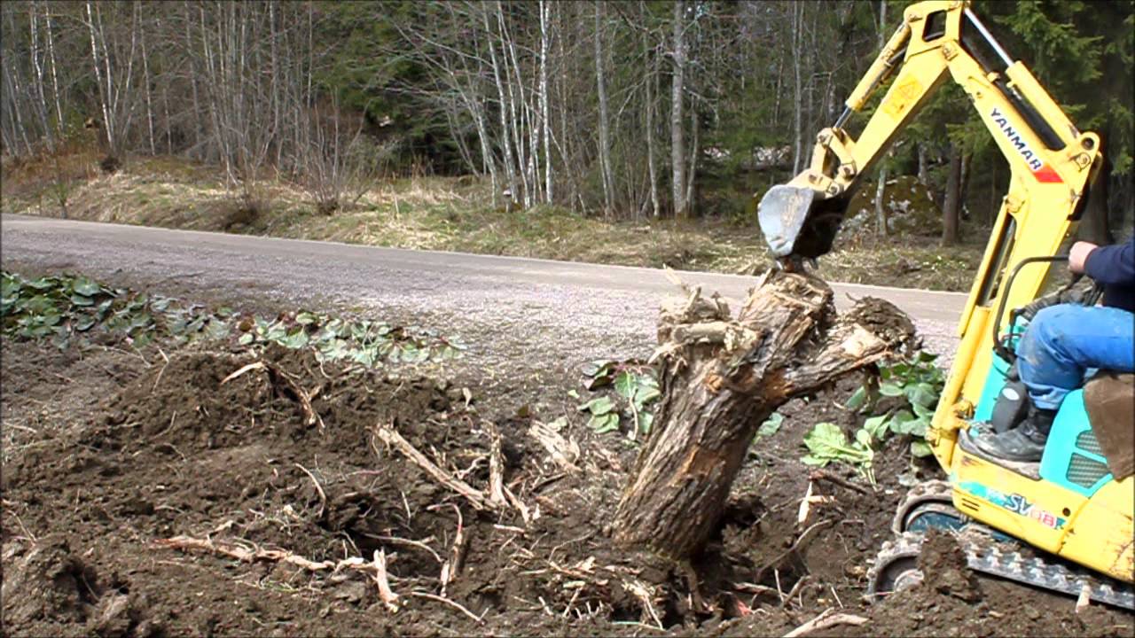 Terijoensalavan kannon kaivaminen maasta