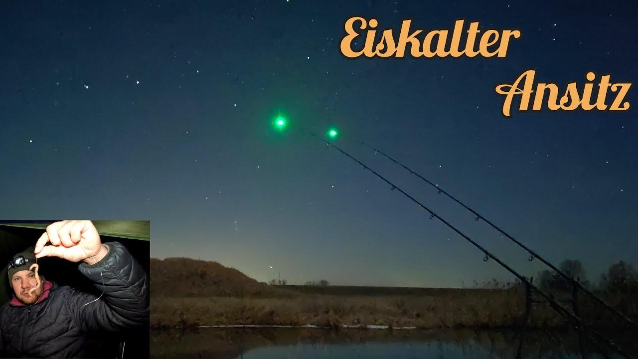 DAS muss man mögen! Eiskalte Angelei am Fluss auf Quappen und Co