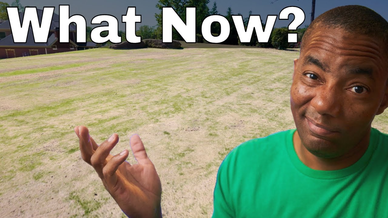 What comes after Top Dressing and Leveling Your Lawn