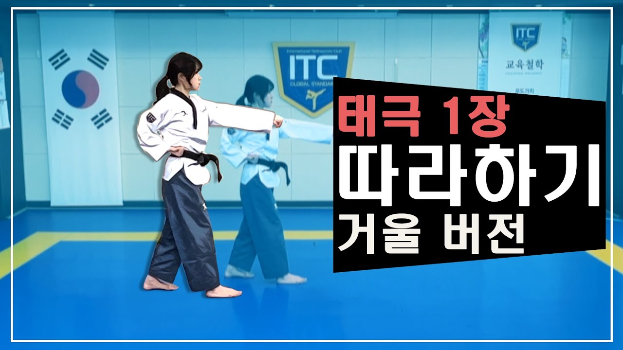 태극 1장 거울버전  후면버전 동시 제공