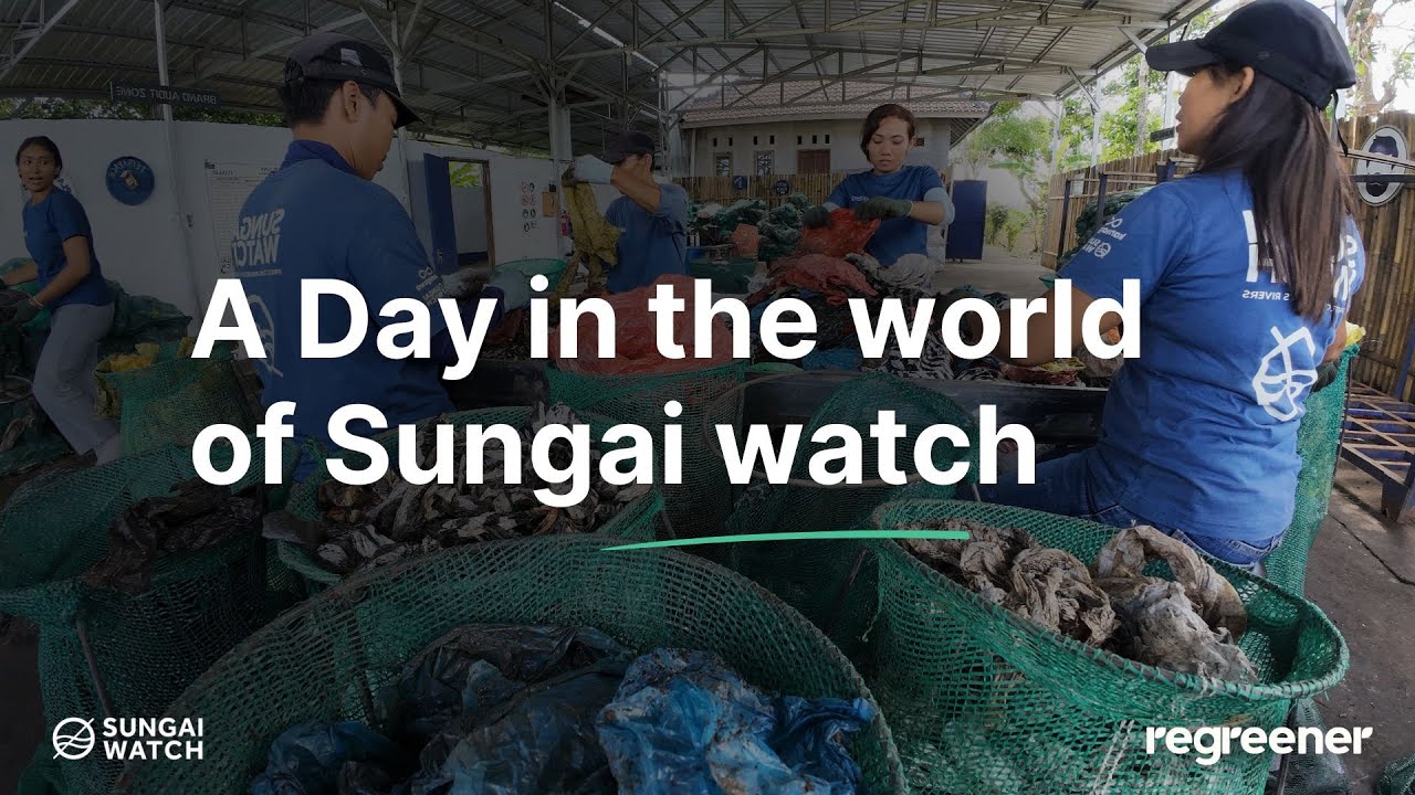 Day in the world of Sungai Watch