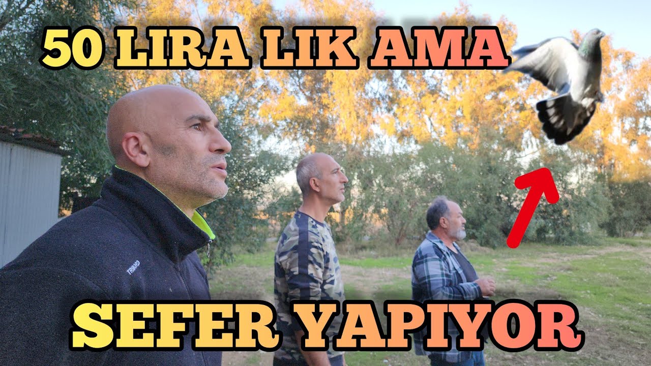 Pazardan 50 Liraya Aldığımız Kuş Seferli Çıktı yala
