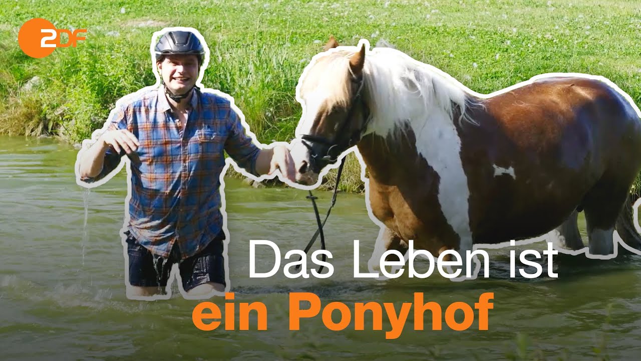 Arbeiten auf dem Reiterhof | Ferienjob-Tour mit Lutz und Fabian