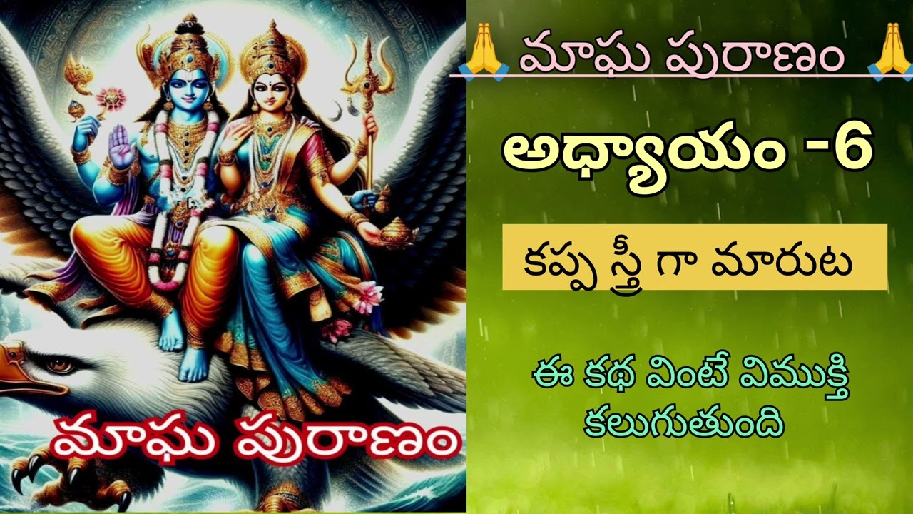మాఘ పురాణం 6వ అధ్యాయం కప్ప రూపాన్ని విడిచిన స్త్రీ పూర్వ కథ