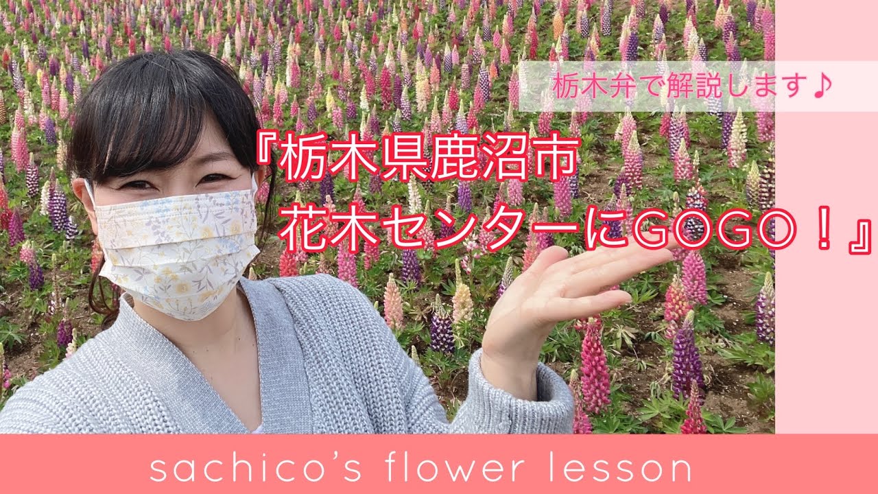 栃木弁で解説します♪『栃木県鹿沼市、花木センターにGOGO！』