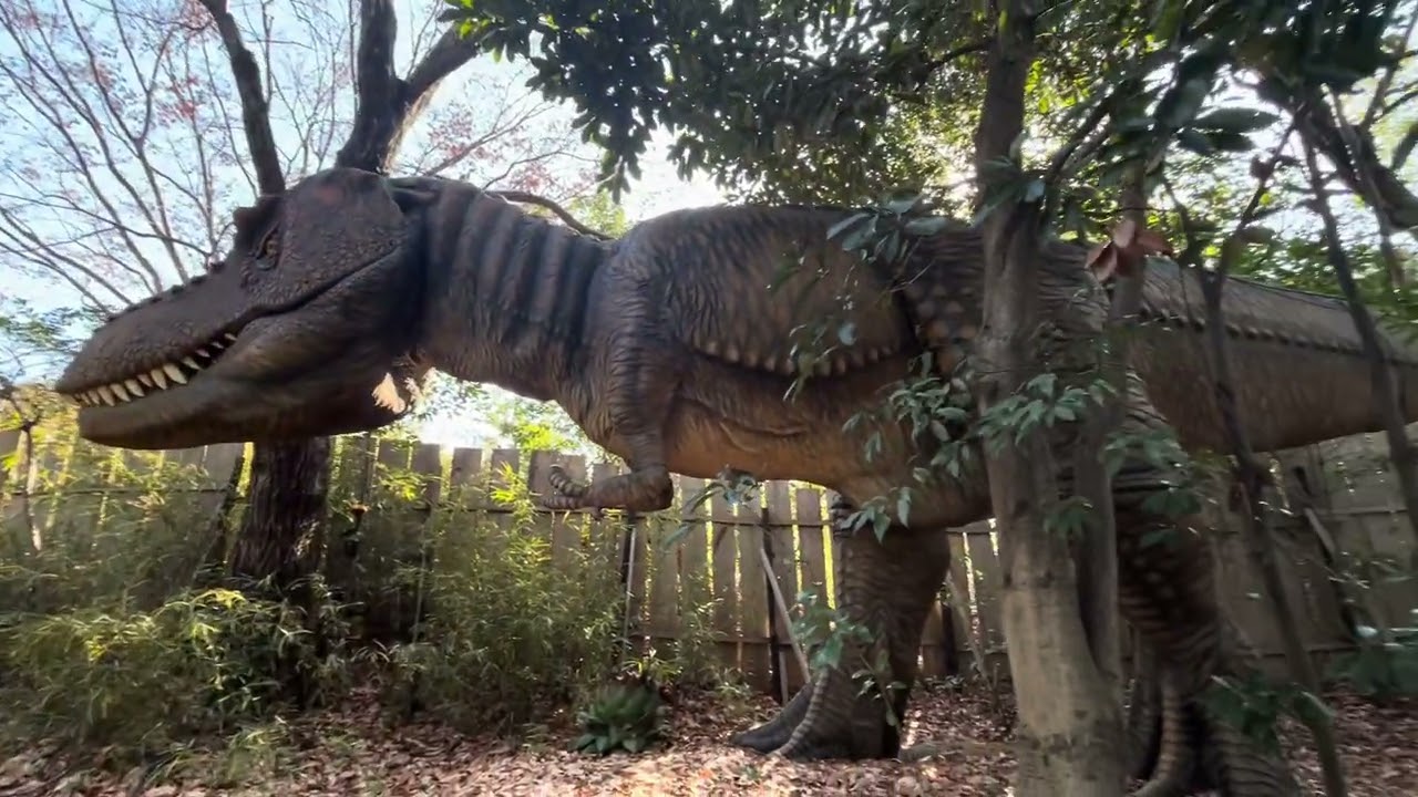 Dino park nagoya