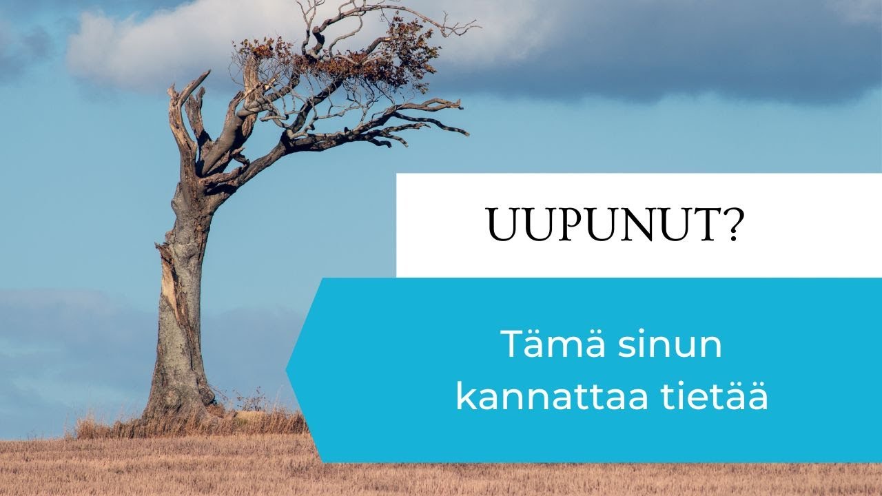 Toivon, että olisin tiennyt tämän uupumisesta ja toipumisesta