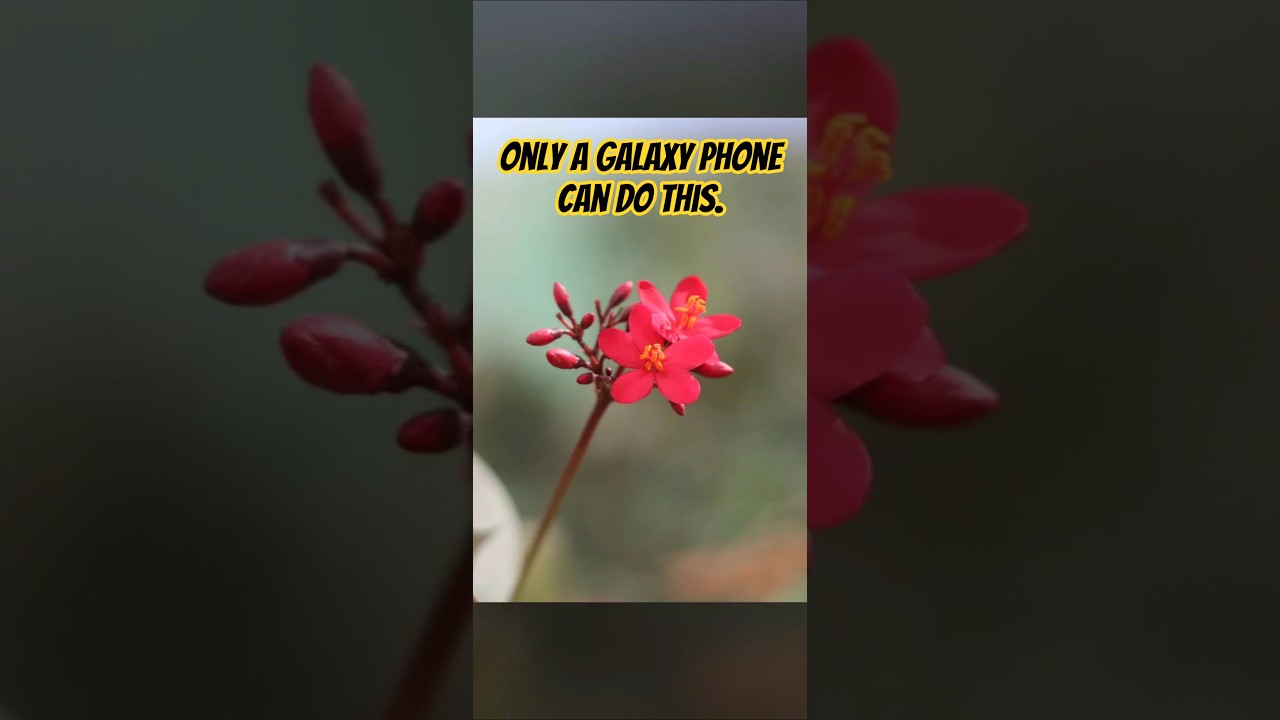 Only Galaxy 🌌 phone can do this. Wow. #foryou #galaxybts  #samsungfamily #samsungtips