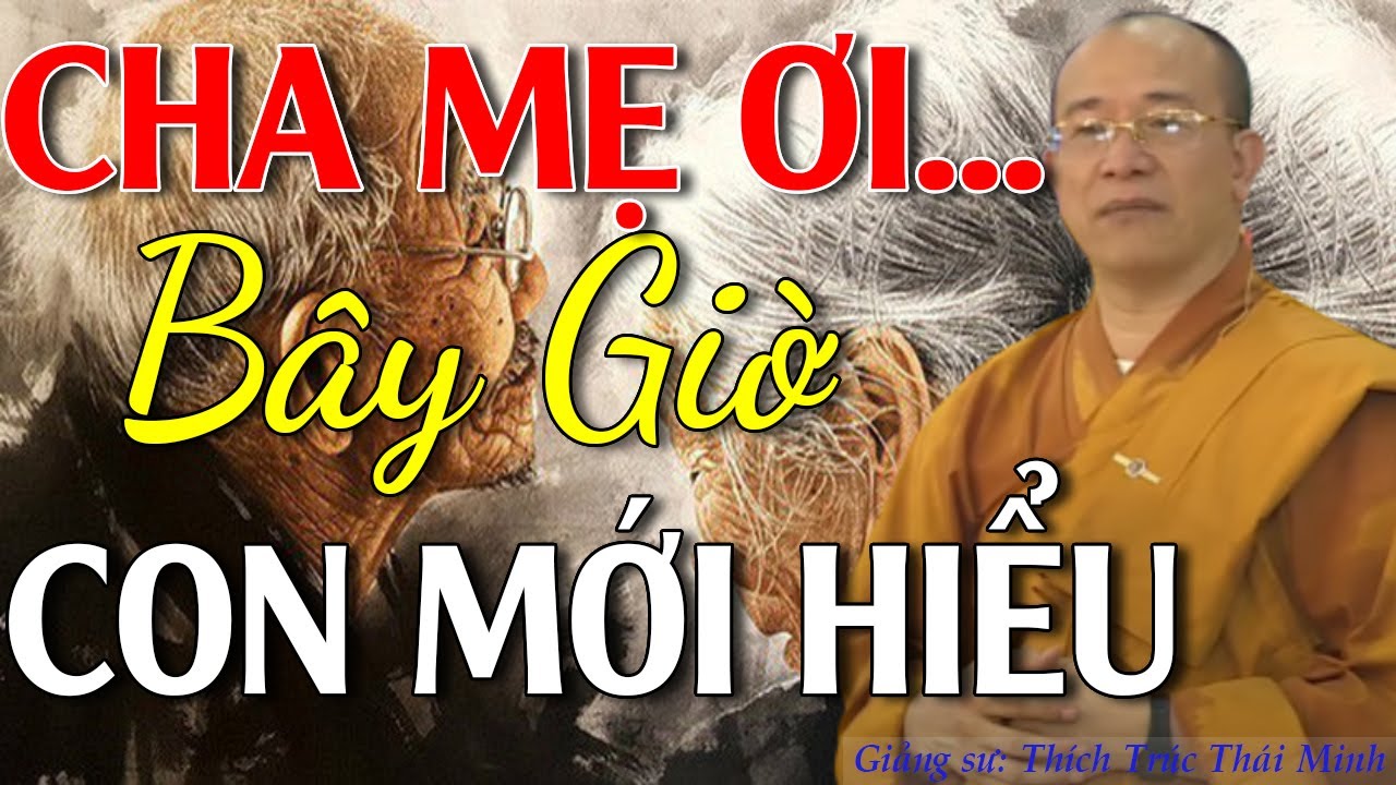 Đ.Đ Thích Trúc Thái Minh | 