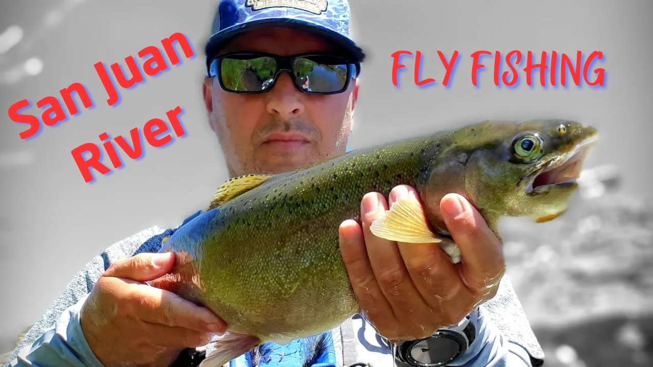 Fly Fishing The San Juan With MidgeMan