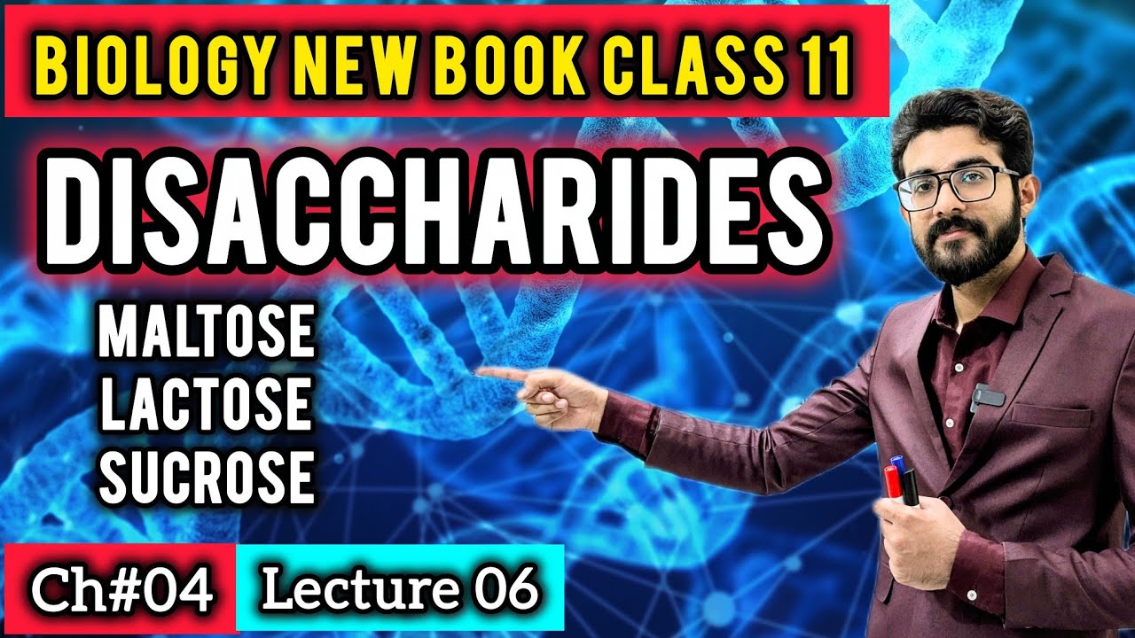 Disaccharides | Structure, Types & Biological Importance | Class 11 Biology New Book