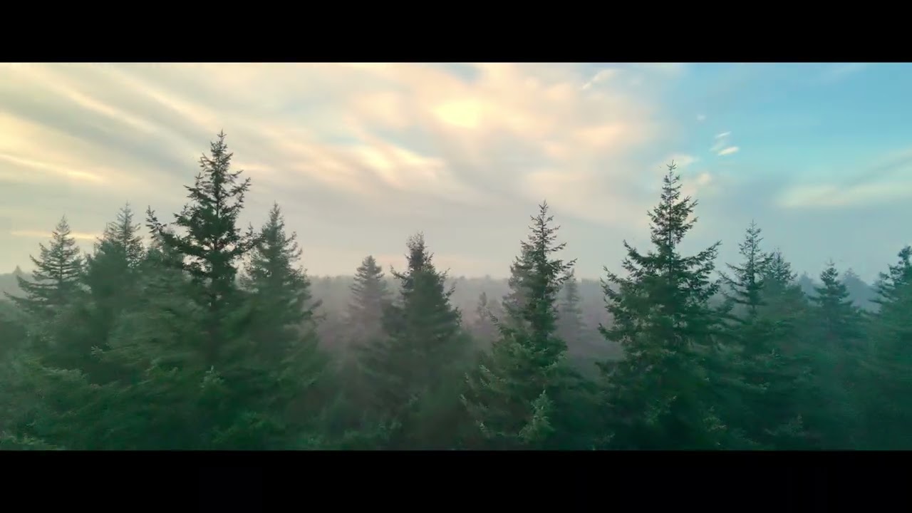 DJI NEO 2 INSANE CINEMATIC FOREST FPV!!