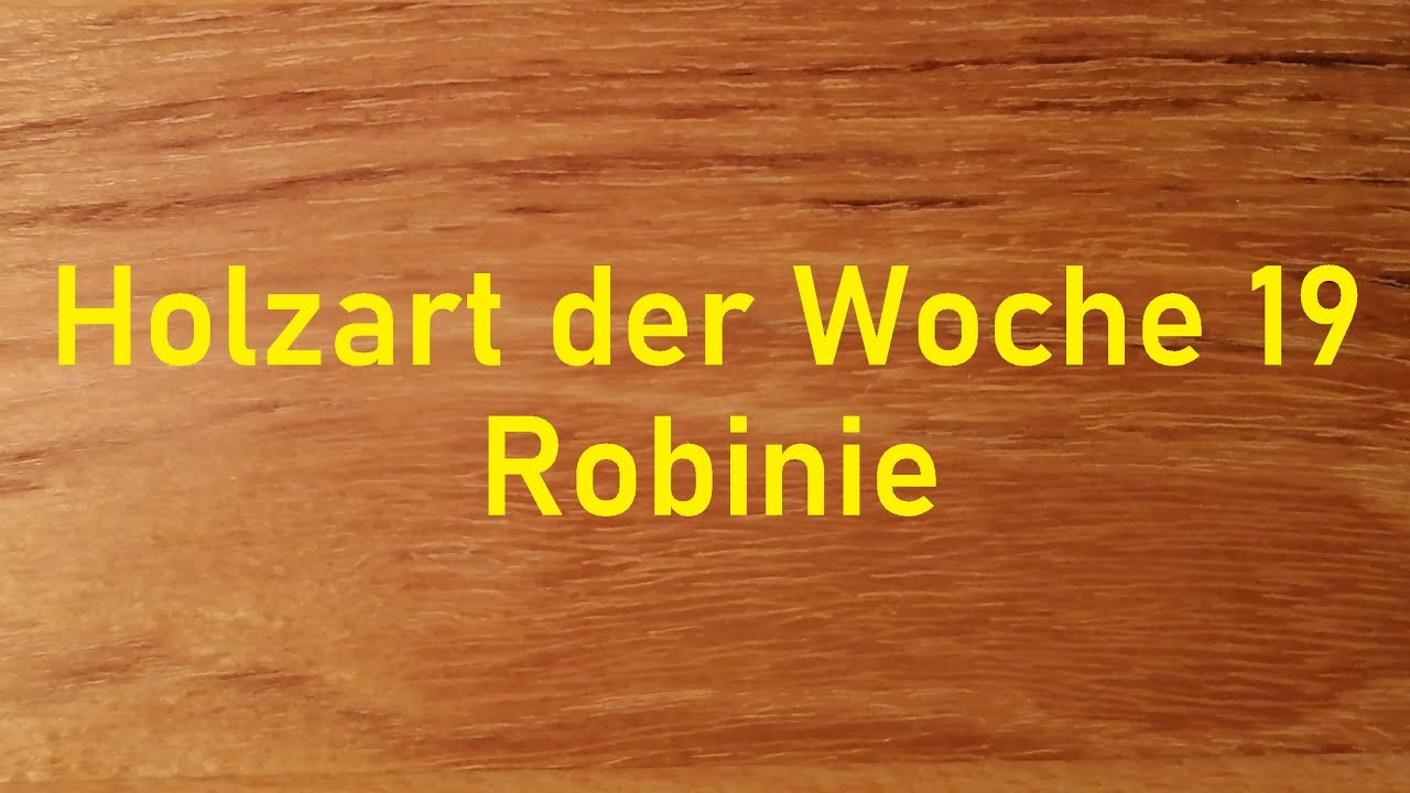 Holzbestimmung: Holzart der Woche 19 –  ROBINIE, das „heimische“ TROPENHOLZ