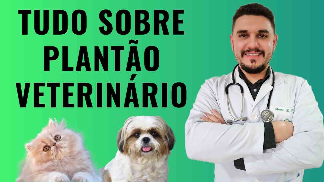 COMO FUNCIONA O PLANTÃO VETERINÁRIO?